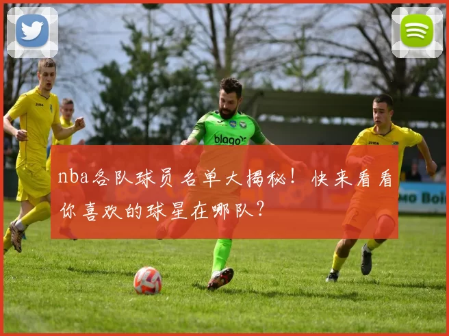 nba各队球员名单大揭秘！快来看看你喜欢的球星在哪队？
