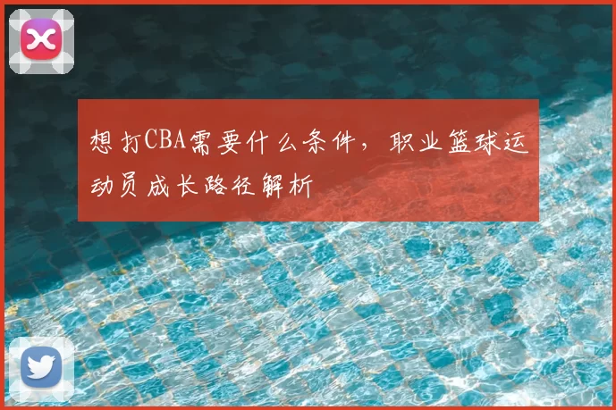 想打CBA需要什么条件，职业篮球运动员成长路径解析