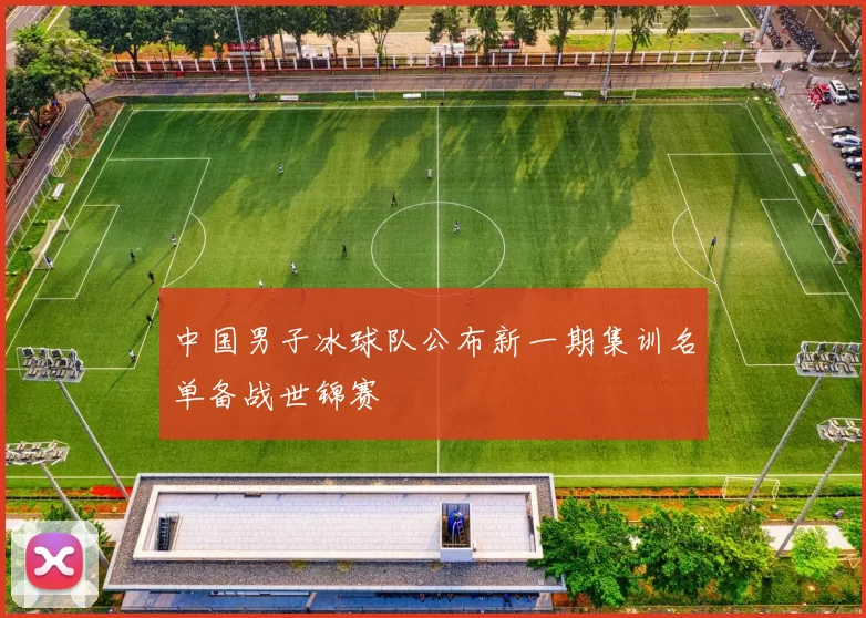 中国男子冰球队公布新一期集训名单备战世锦赛