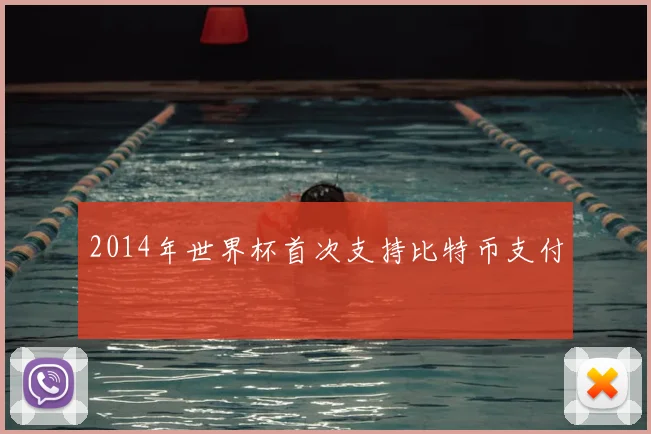 2014年世界杯首次支持比特币支付